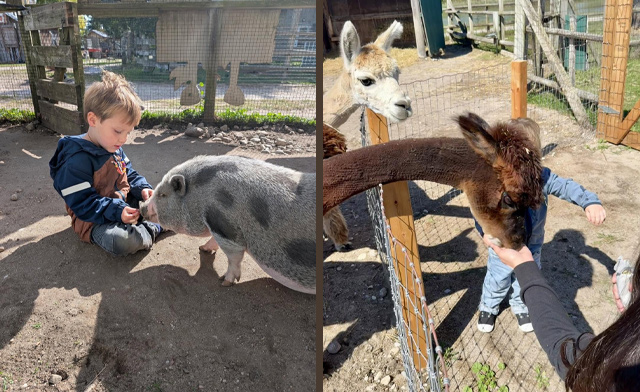Image of 30% Off Admission to Fall Fun at Rounds Ranch
