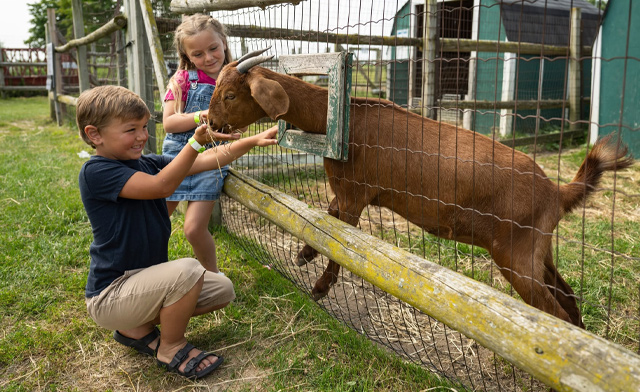 Image of 30% Off Admission to Fall Fun at Rounds Ranch