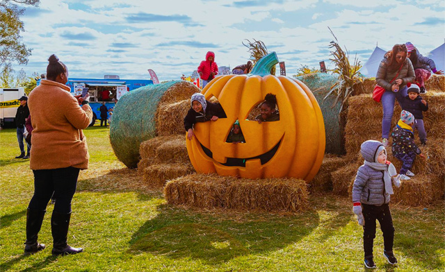 Image of 40% Off Tickets to PumpkinFest Toronto: October 9, 2026