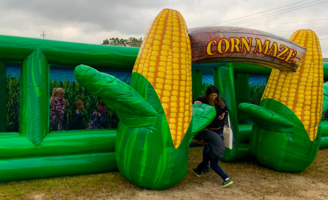 Image of 40% Off Tickets to PumpkinFest Toronto: October 9, 2026