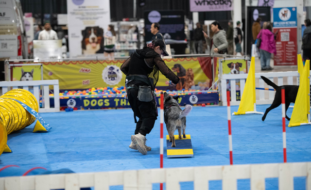Image of $20 & Up for 2 Tickets or a Family Pass to the Ottawa Pet Expo: October 24 & 25, 2026