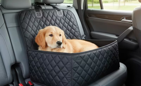 $39.95 for a 2-Piece Pet Car Seat and Safety Belt Set (a $73.99 Value)