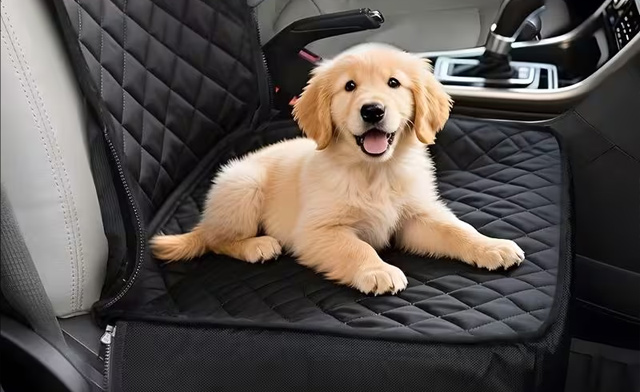 Image of $39.95 for a 2-Piece Pet Car Seat and Safety Belt Set (a $73.99 Value)
