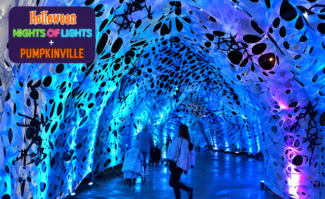 Image of $12 & Up for Tickets to Halloween Nights of Lights + Pumpkinville