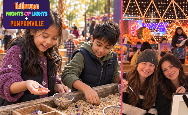 Image of $12 & Up for Tickets to Halloween Nights of Lights + Pumpkinville