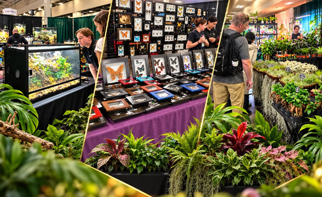 Image of $22 & Up for 2 Tickets or a Family Pass to the Reptile & Plant Expo: October 18, 2026