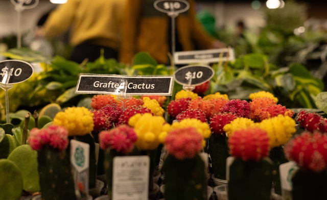 Image of $22 & Up for 2 Tickets or a Family Pass to the Reptile & Plant Expo: October 18, 2026