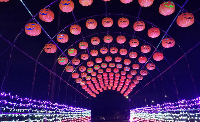Image of $22.60 & Up for Admission to Spooktacular Light Show in Ajax
