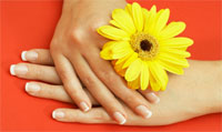Image of $10 for a Manicure from Jade Wellness Spa Clinic (A $20 Value)