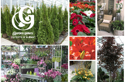 Image of $15 for $30 Worth of Flowers, Shrubs, Gardening Supplies, Outdoor Decor and More at Bradford Greenhouses