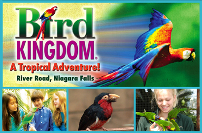 Image of $6 for a Child Pass to the Bird Kingdom (A $12 Value)