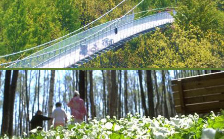 Image of $13 for 1 Day Admission to Scenic Caves Nature Adventures Including Self-Guided Tour, Mini Golf and Suspension Bridge Walk (A $26 Value)