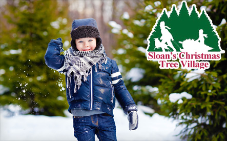 Image of $22 for a U-Cut Christmas Tree from Sloan's Christmas Tree Village (a $45 Value)