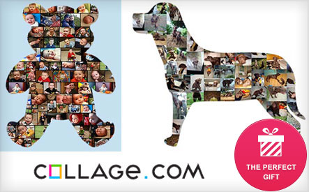 Image of Up to 52% off a Photo Collage Poster from Collage.com (2 Options)