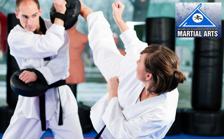 Image of $399 for a 1-Year Club Membership including all Club Programs at World Championship Martial Arts (a $910 Value)