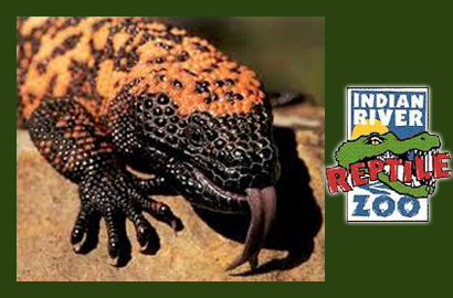 Image of $25 for a Family Pass to Indian River Reptile Zoo (a $58 Value)