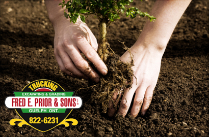 Image of $39 for Two Yards of Screened Triple Mix Soil from Fred E. Prior & Sons (A $100 Value) - Includes Delivery