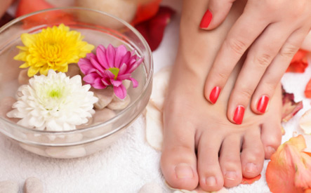 Image of $35 for a Manicure, Pedicure and Facial Waxing at CLIP Hair Salon and Esthetics (a $90 Value)