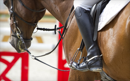 Image of $29 for 2 English Horseback Riding Lessons at Tarwin Farms (an $80 Value)