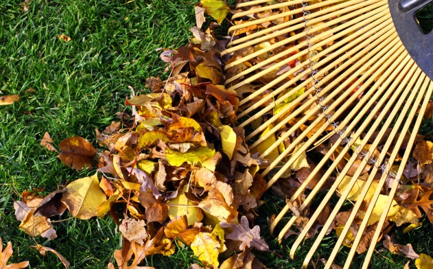 Raking Spring Clean Up $79 for a Spring Vegetative Yard Clean Up including Raking, Shrub ...