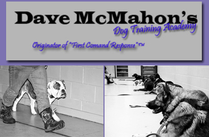 Image of $49 for 3 Private One Hour Dog Obedience Sessions at Dave McMahon's Dog Academy (a $271 Value)