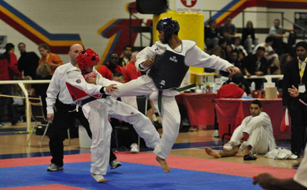 Image of $20 for 20 One-Hour Martial Arts Classes at Whitby Taekwondo Academy (a $200 Value)