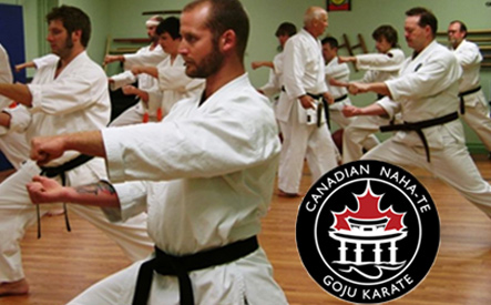 Image of $19 for 2 Months of Karate Plus a Free GI (Uniform) at Tri-City Martial Arts (a $210 Value)