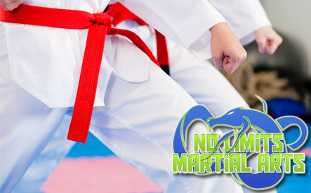 Image of $30 for 3 Months of Karate Classes at No Limits Martial Arts (a $320 Value)