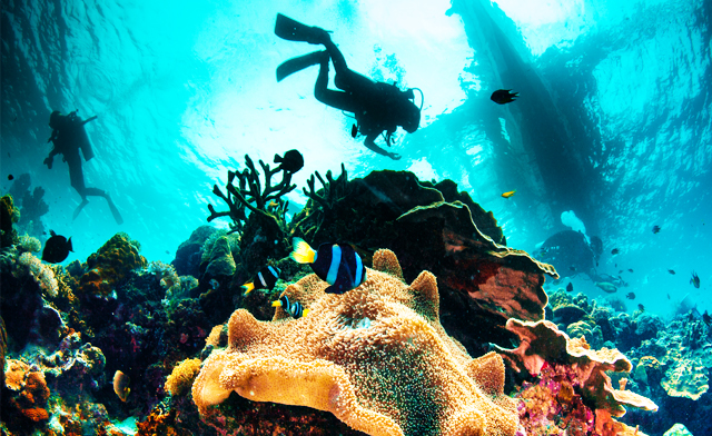 Image of Up to 66% off Scuba Diving Lessons in Toronto