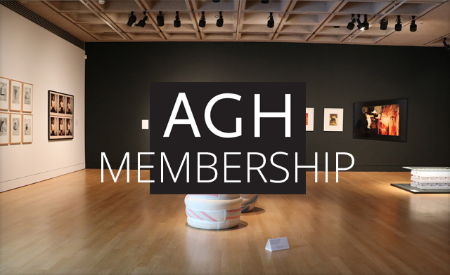 Image of 40% off Selected Memberships at Art Gallery of Hamilton