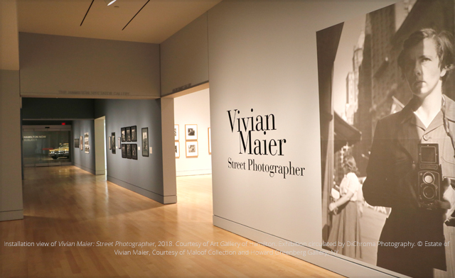 Image of 40% off Selected Memberships at Art Gallery of Hamilton