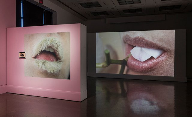 Image of Up to 60% Off of Memberships for the Art Gallery of Mississauga