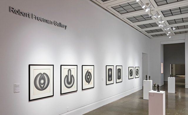 Image of Up to 60% Off of Memberships for the Art Gallery of Mississauga