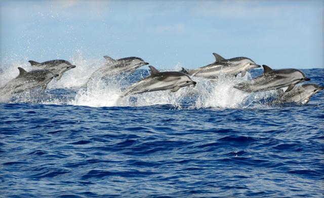 Image of Azores Island Adventure: 6 Nights, Flight + Hotel Starting from $949