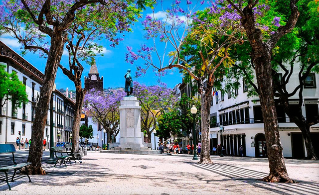 Image of Madeira Luxury Island Package: 6 Nights, Hotel, Air & More! Starting at $1249