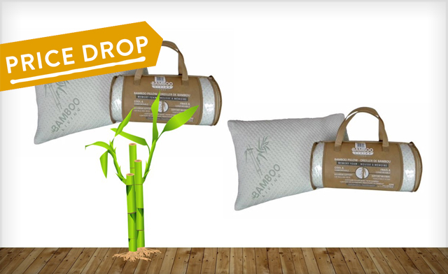 Image of Up to 72% off a Bamboo Pillow