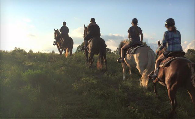 Image of Up to 46% off Horseback Rides with Introductory Lessons