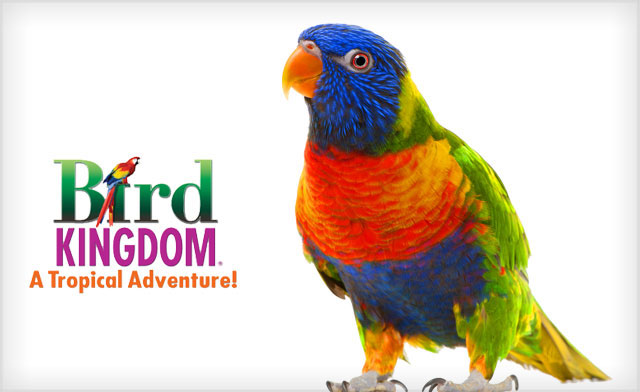 Image of Up to 42% off General Admission to Bird Kingdom