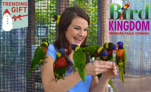 Image of One Child or Adult Admission to Bird Kingdom