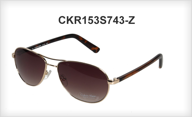 Image of $25 for a pair of Calvin Klein Sunglasses (a $124 Value)