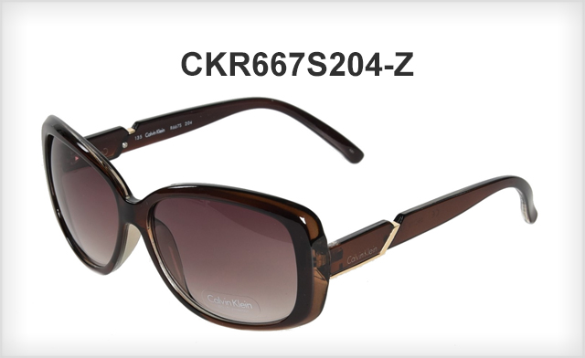 Image of $25 for a pair of Calvin Klein Sunglasses (a $124 Value)