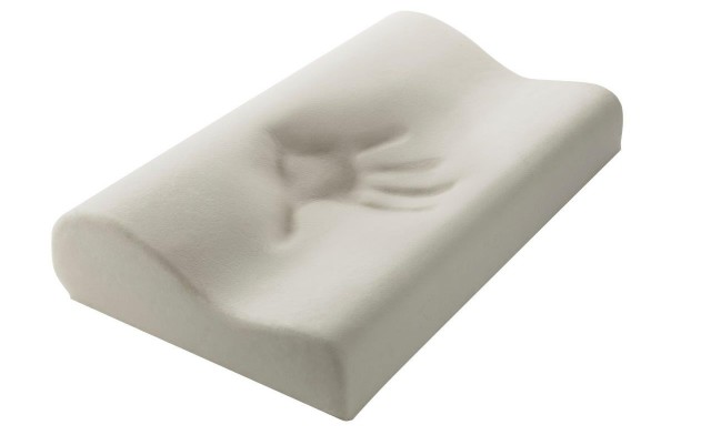 Canadian Down and Feather Company: $39 for 2 Memory Foam Pillows (a $150 Value) - WagJag.com dakine luggage sale
