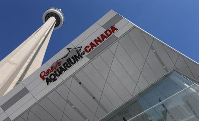 Image of Save 40% on Admission to Ripley’s Aquarium, the ROM, Ontario Science Center and More!