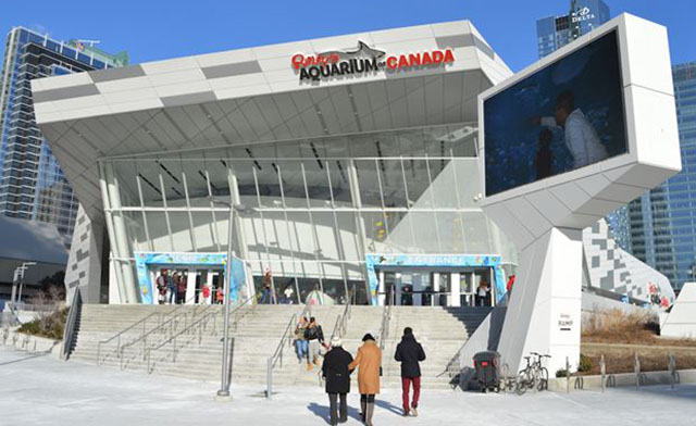 Image of Toronto CityPass: Save 40% on Ripley’s Aquarium, ROM, Ontario Science Center & More!