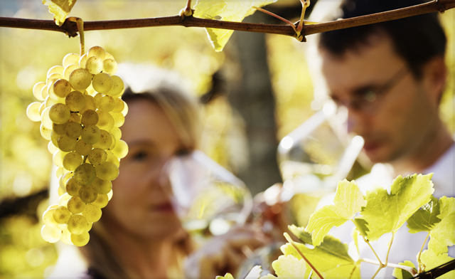 Image of Comfy Fall Stay with Wine and Breakfast in Simcoe