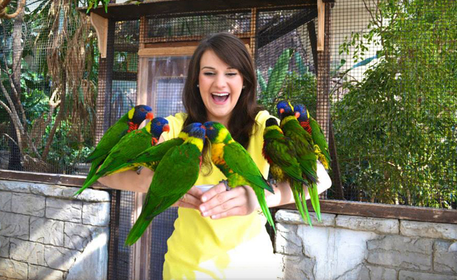 Image of Eat, Stay & Play at the Casino in Niagara Falls