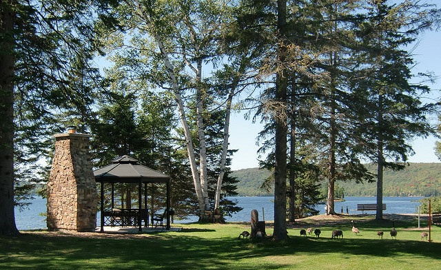 Image of Relaxing 2-Night Getaway in a Beautiful Muskoka Cottage