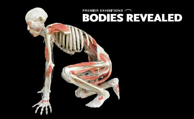 Image of Up to 57% off Tickets to the Bodies Exhibit: Niagara Falls (3 Options)