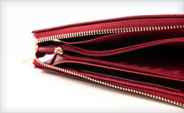 Image of $15 for a Faux Leather Ladies Wallet (a $69 Value)