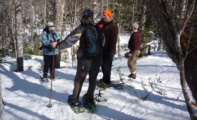 Image of Bed & Breakfast Stay in Collingwood with Wildlife Tour & Scandinave Spa Options